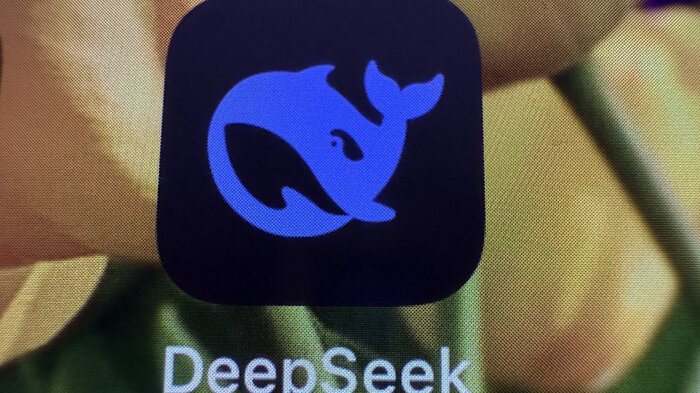 bilde av deepseeklogoen