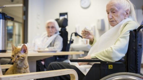 Eldre kvinne på Bergsodden livsgledehjem studerer en katt foran seg mens hun spiser.