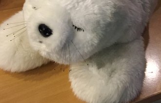 Robotselen Paro, emosjonell robot Bildet viser robotselen Paro.