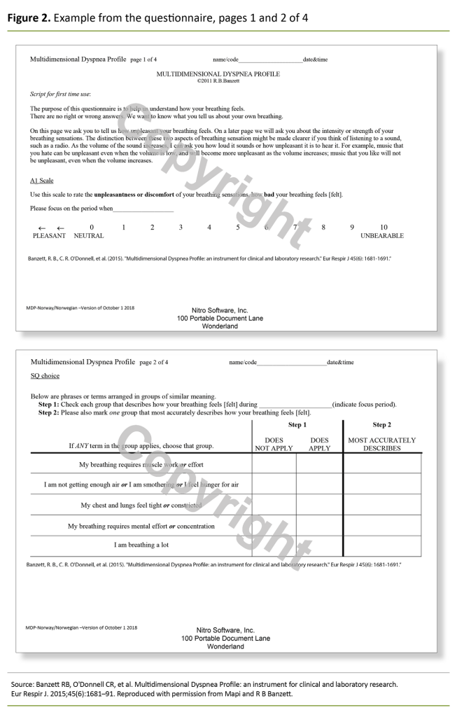 Figure 2. Example from the questionnaire, pages 1 and 2 of 4
