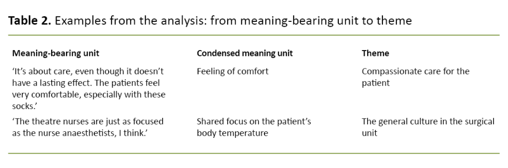 Table 2. Examples from the analysis: from meaning-bearing unit to theme
