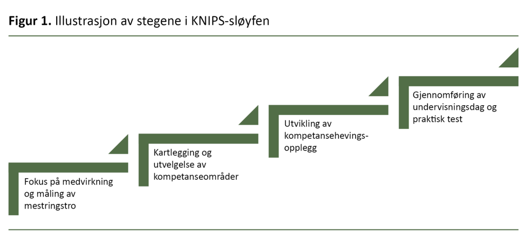 Figur 1. Illustrasjon av stegene i KNIPS-sløyfen. Figur 1. Illustrasjon av stegene i KNIPS-sløyfen.