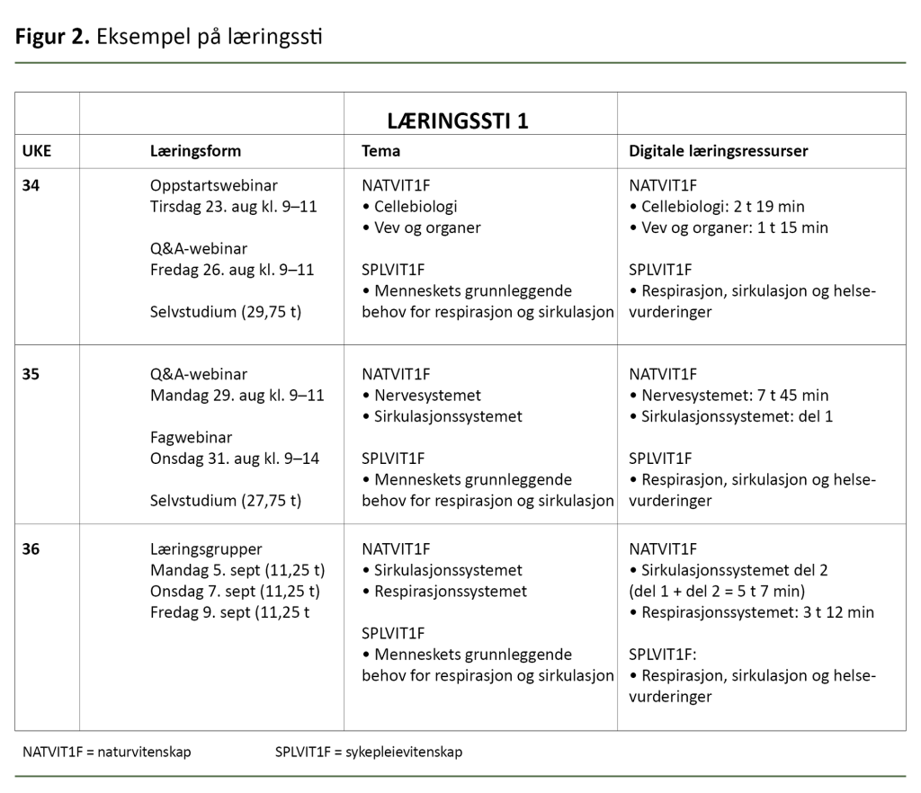 Figur 2. Eksempel på læringssti