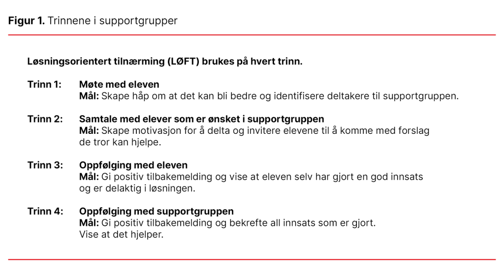 Figur 1. Trinnene i supportgrupper Figur 1. Trinnene i supportgrupper