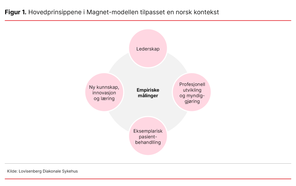 Figur 1. Hovedprinsippene i Magnet-modellen tilpasset en norsk kontekst 