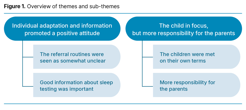 Figure 1. Overview of themes and sub-themes Figure 1. Overview of themes and sub-themes