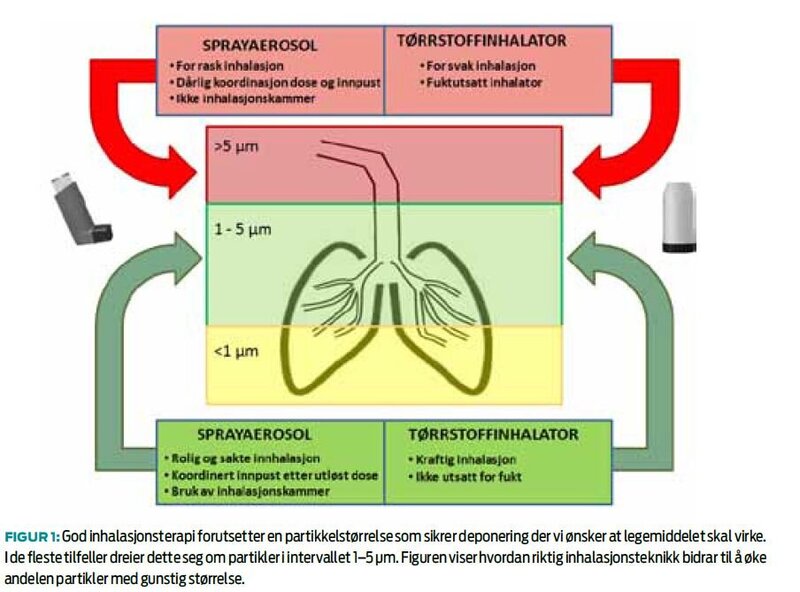 inhalator figur.jpg