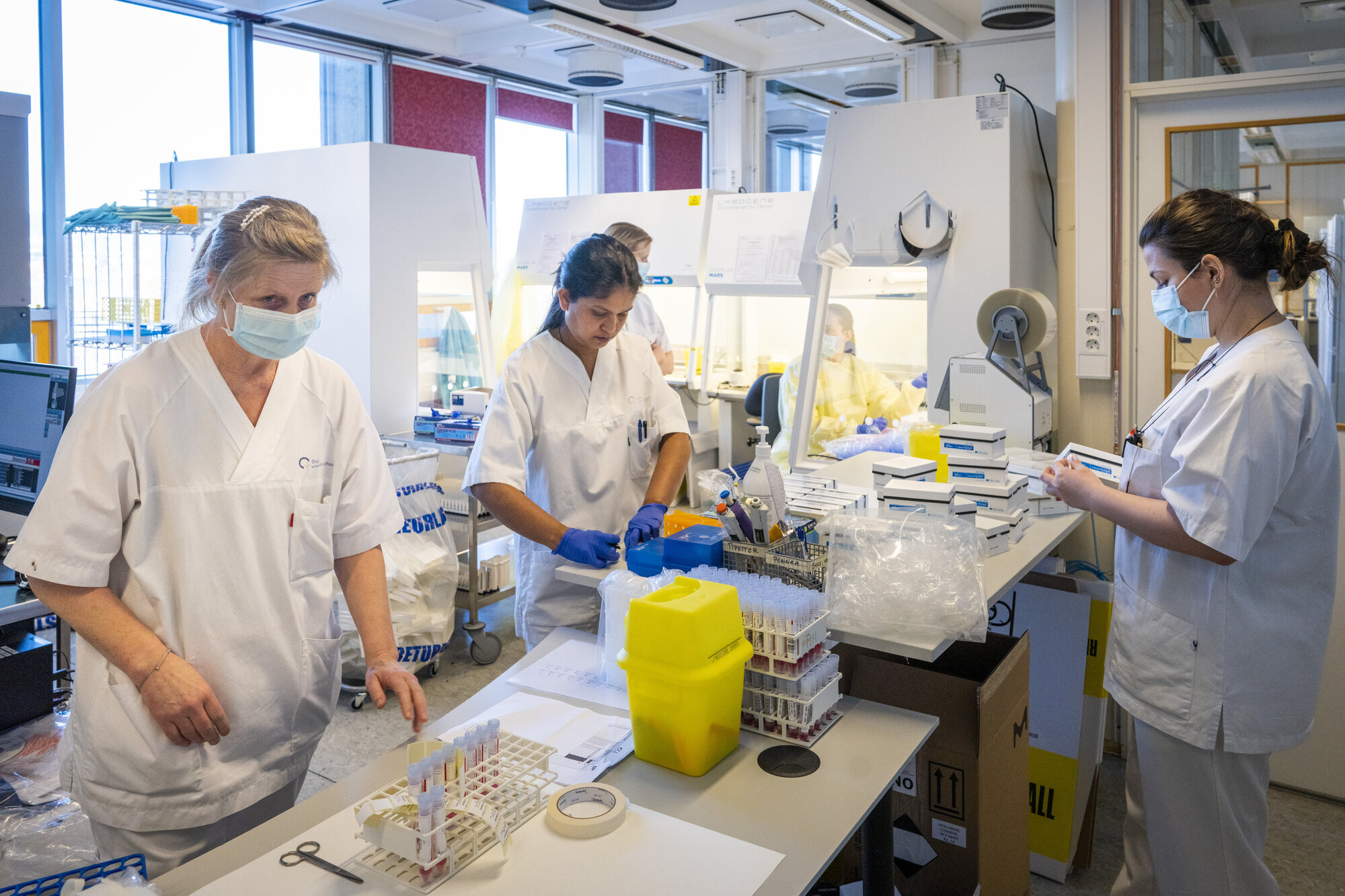 Bildet viser bioingeniører som jobber med koronaprøver.