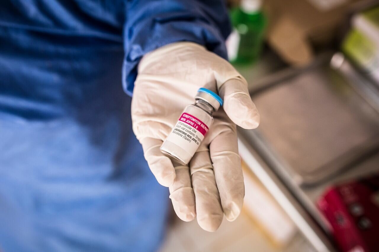Streptomycin Bildet viser antibiotikumet streptomycin, som brukes i behandling av lungepest