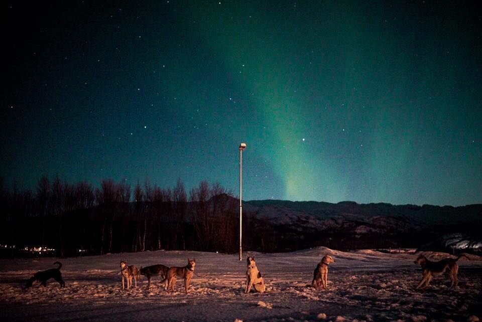 Nordlys Nordlys