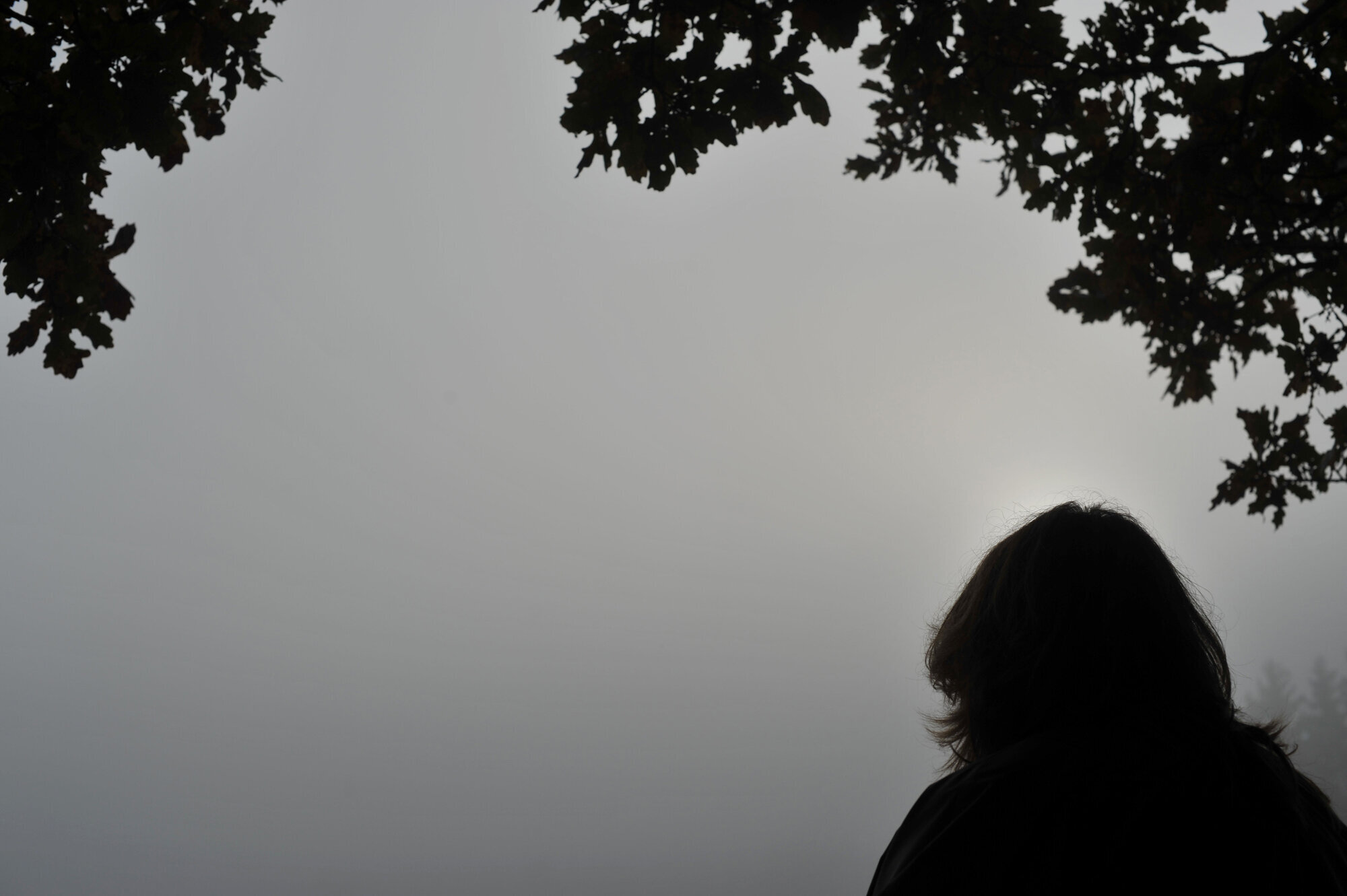psykiske lidelser, psykiatri Bildet viser silhuetten av et menneske mot en grå himmel.