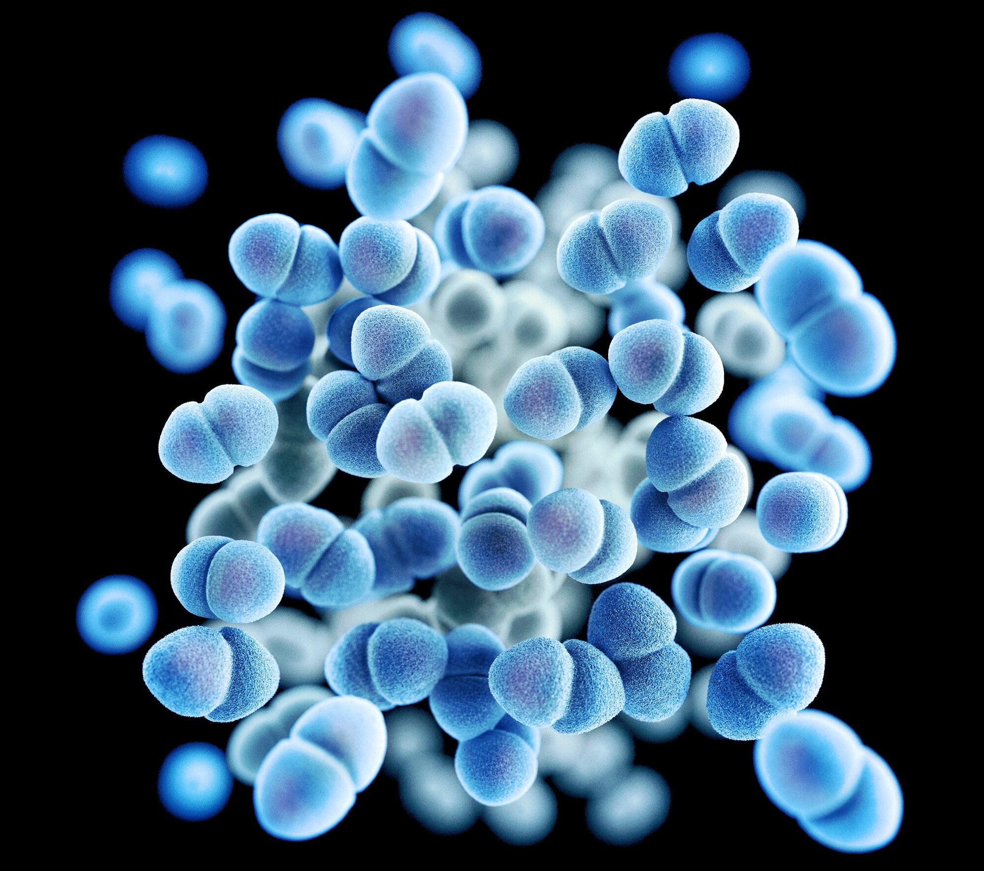 VRE, antibiotikaresistens Bildet viser datafremstilt illustrasjon av VRE.