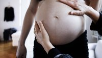 gravid, eggdonasjon Bildet viser en gravid mage som blir undersøkt av to hender.