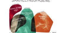 Illustrasjonen viser de fire sårhelingsfasene.