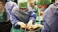 Operasjonssykepleiere Operasjonssykepleiere