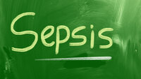 sepsis Bildet viser en grønn flate der det er skrevet ordet sepsis.