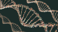 DNA Bilde av DNA