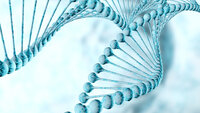 DNA DNA